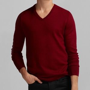 Express Men’s V-Neck Sweater